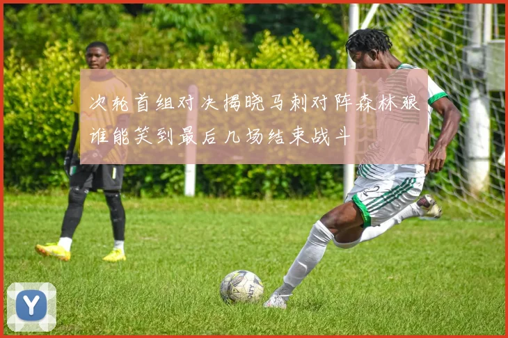 次轮首组对决揭晓马刺对阵森林狼谁能笑到最后几场结束战斗
